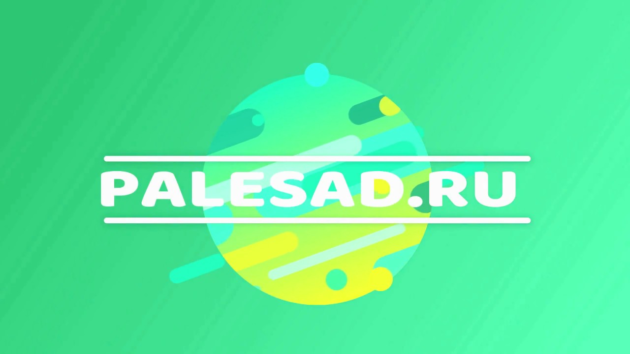 Аурикулы. Посев семян: от замачивания до прорастания.