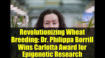 Revolutionizing Wheat Breeding: Dr. Philippa Borrill Wins Carlotta Award for Epigenetic Research