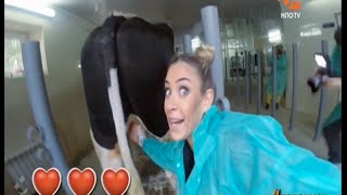 Брать быка, но не за рога | Чистоплюи-2 | НЛО TV Брать быка, но не за рога | Чистоплюи-2 | НЛО TV