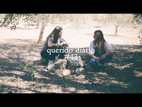 Querido Diario #43 - Las despedidas, amistad, entender la naturaleza y últimos detalles de mi taller