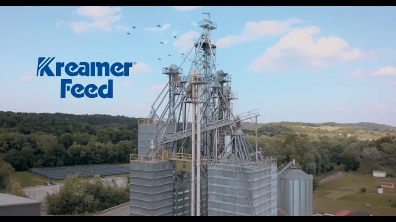 Kreamer Feed An Overview YouTube