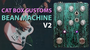 Cat Box Customs Bean Machine V2 || Harmonic Percolator Fuzz || Pedal Demo Video