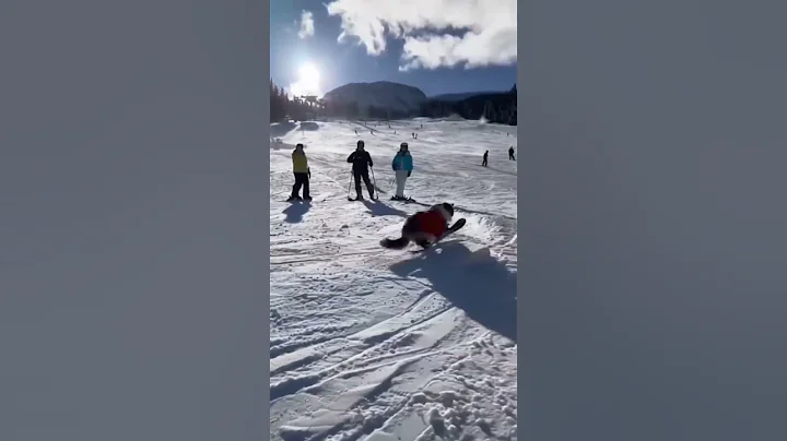 Video 11632271: cat snow, funny cat