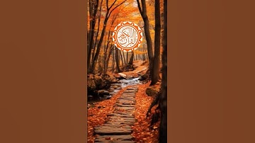 👰 surah nisa 🌹👰🌹 || سورة النساء ||🌹🌹 #viral #quranictranslation #quran #surhmulk #surah #الله