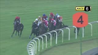 Vidéo de la course PMU PRIX DEBT COLLECTOR 2016 STAKES