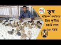 duck hatchery in bangladesh ।। তুষ হারিকেন পদ্ধতির বিশাল হ্যাচারী