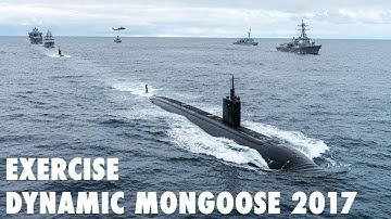 Exercise Dynamic Mongoose 2017
