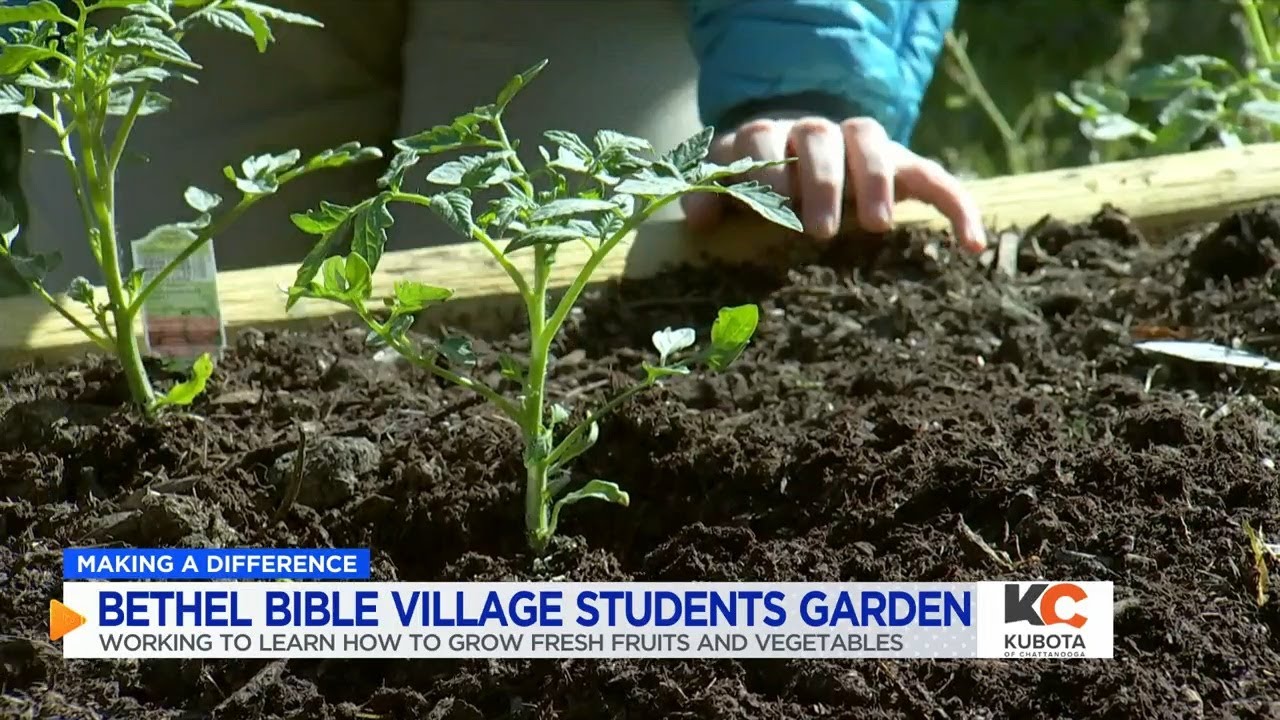 MAKING A DIFFERENCE Bethel Bible Village students plant campus garden