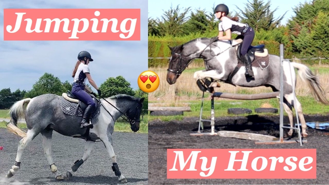 JUMPING MY HORSE FOR THE FIRST TIME VLOG YouTube