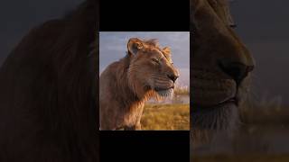 Bana İhanet Ettin ... Mufasa : Aslan Kral 2024 Resimi