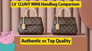 Louis Vuitton's CLUNY MINI M46055 Bag Comparison By Steven