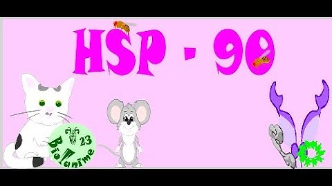 HSP-90 | Molecular chaperonins