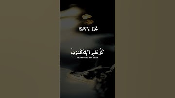 قرآن كريم بصوت عبدالرحمن مسعد سوره العنكبوت