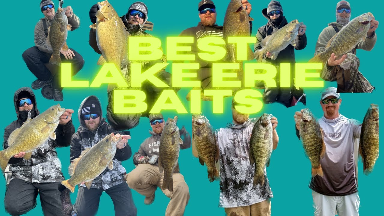 My go to Lake Erie Smallmouth baits