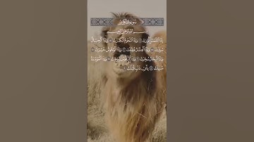 سورة التكوير دعاء_عظيم#آية_قرآنيه القرآن الكريم آيه قرآنيه،الشيخ ماهر المعيقلي#أرح_سمعك #تلاوة_خاشعة