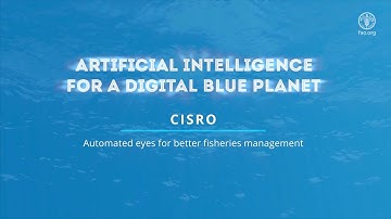 FAO AI4DBP AI Based Video Analysis for Automated Catch Monitoring in Fisheries