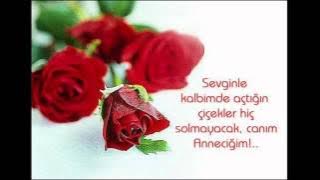Seni Bir Kır Çiçeği Gibi Koklayamam Sevemem