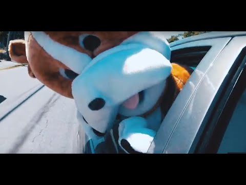Fox and Bones - Little Animal [Official Video]