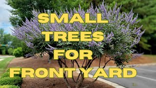 10 BEST All Season Small Trees For Front Yard | Low Maintenance Dwarf Trees for Landscaping Resimi