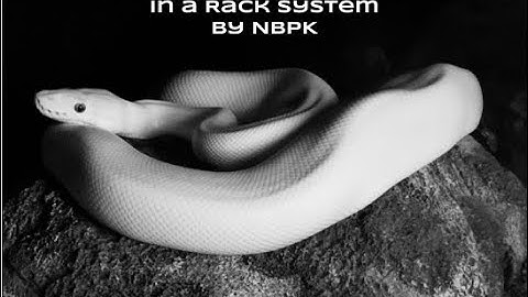 How to Install a Thermostat Probe in a Rack System