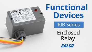 Functional Devices RIB Series, Pilot Relays