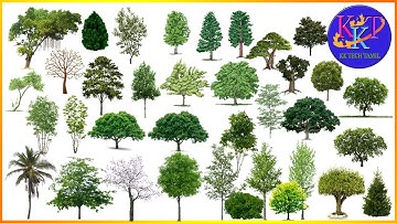 Tree psd files in kk tech tamil
