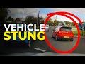 VW Golf tries to escape police, gets STUNG by motorcycle cop | Police Pursuit Dashcam and Arrest