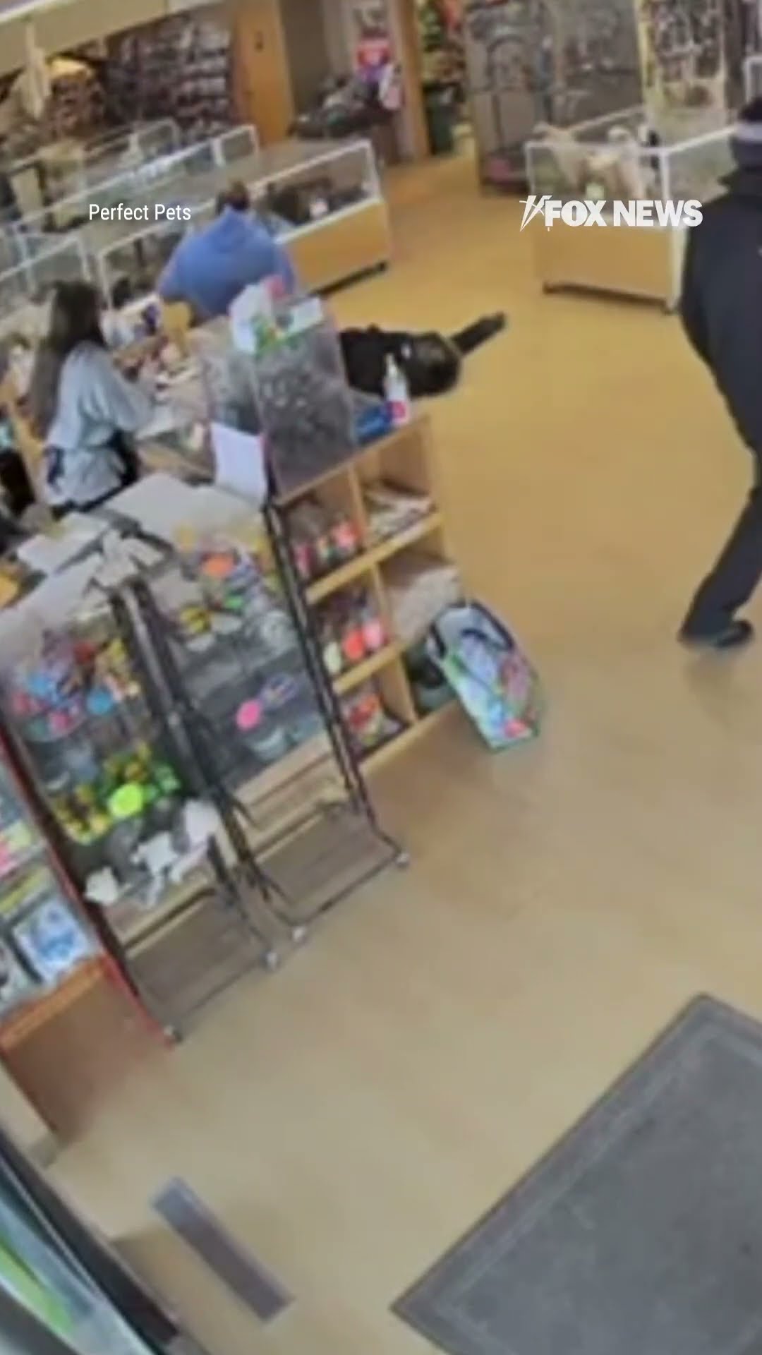 Two bandits fake seizure to steal puppies from store