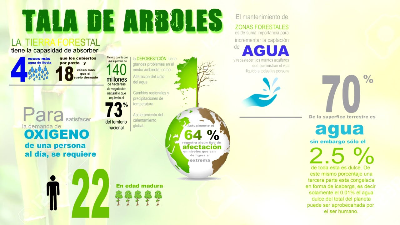 INFOGRAFIA TALA DE ARBOLES - YouTube