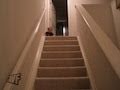 Baby comes down the stairs