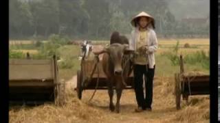 Watch Diario Vietnam Trailer