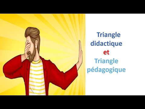Système didactique: critique