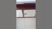 СO 28. Початок кращого