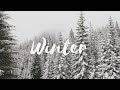 Winter aesthetic video⛄❄️