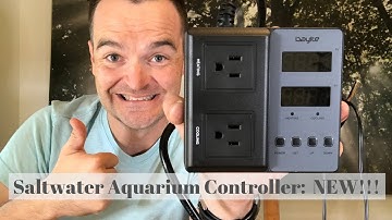 Saltwater Aquarium Controller: $35 Bayite Review
