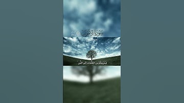 تلاوة مباركة، آيَاتٍ بَيِّنَاتٍ من سورة الأحزاب