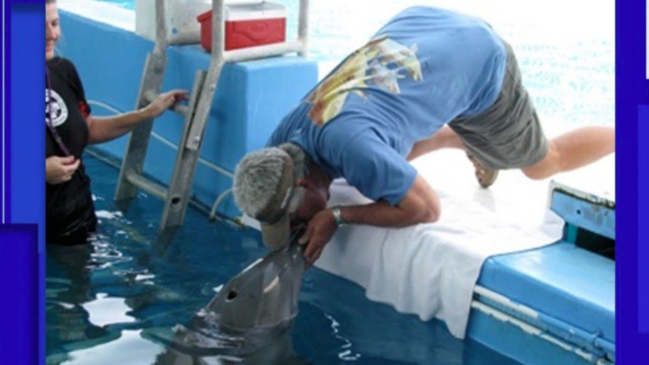 Man who rescued Winter, star of ‘Dolphin Tale’ movies, hopes her memory