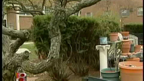 Cold Case file solved with DNA