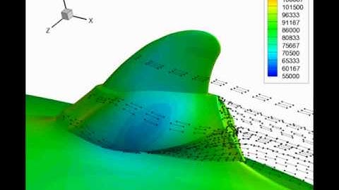 Tecplot 360 Simulation Example: Dolphin (I)