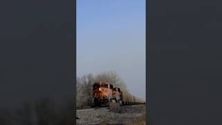 #8460 DPu two ES44AC GEVO slowly passing elephant styles quo #shorts ￼
