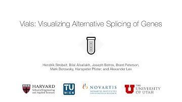 VIALS - VIsualizing ALternative Splicing in Genes