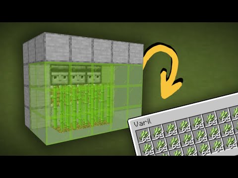 Şeker Kamışı Farmı Nasıl Yapılır? | Minecraft