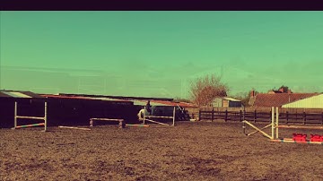 Gymnastic/gridwork jumping exercises for horses!