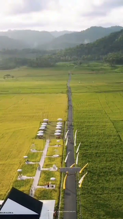 mahaloka paradise kulon progo - story wa