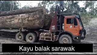 Kayu balak di sarawak