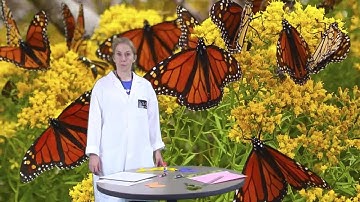 HPL Discovery: Static Electricity Kits for Toddler-Kindergarten