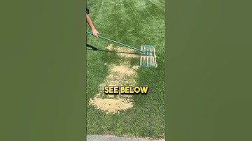 New YT series all about fixing your bump lawn! #level #lawn #diy #smooth #sand #compost #leveling