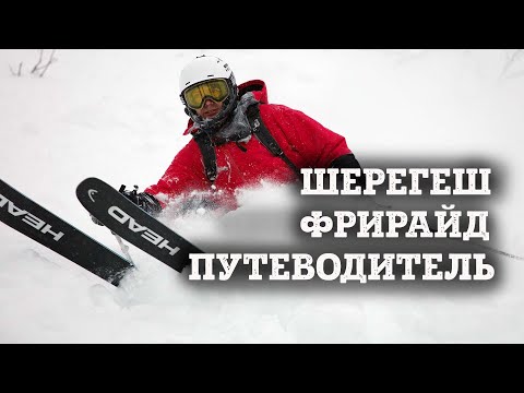 Video: Поезддин шериги эффекти