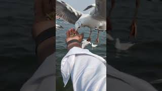 Ankit5050D-g9f#यह है प्रयागराज#comedy  video#   comedy # comedy  #shortsvideo #song #Anki5050D11