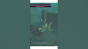 Helldivers 2 But The Bugs Got Wall Hacks #Shorts #helldivers2 #viral #funny #gaming